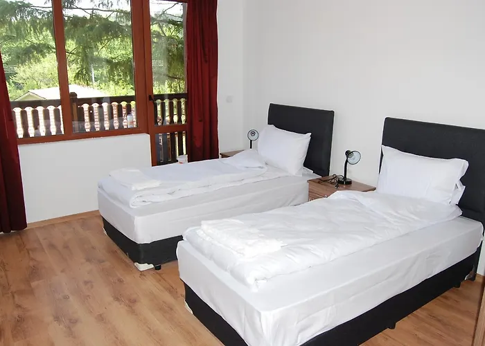 Vidima 阿普里尔齐